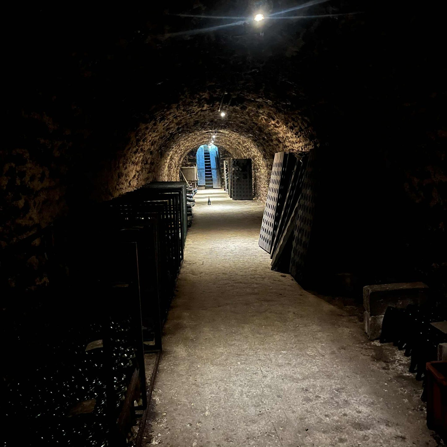 José Michel Grand vintage 2014