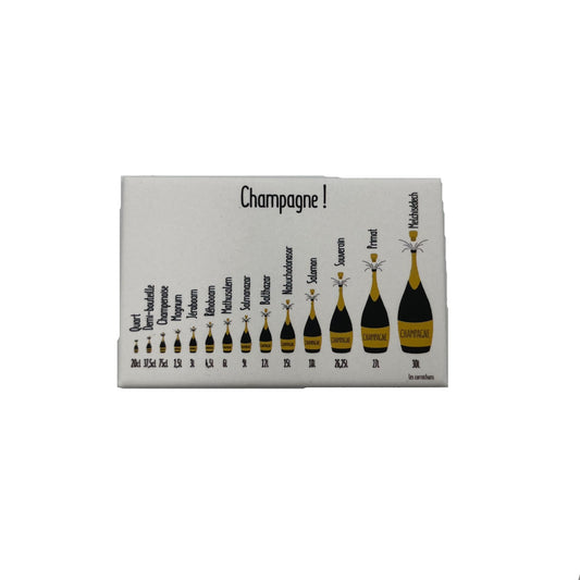 Champagne bottle size magnet