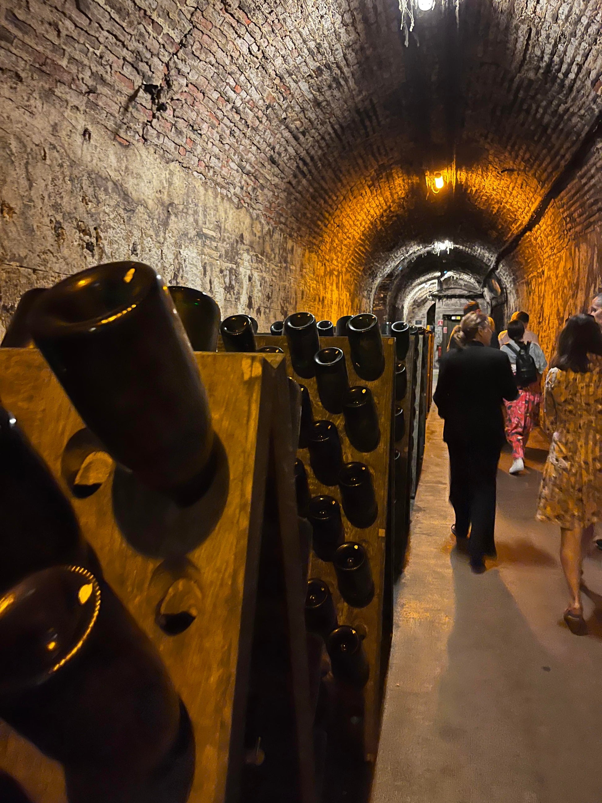 Visiting the caves of Bollinger champagne - Champagne Season