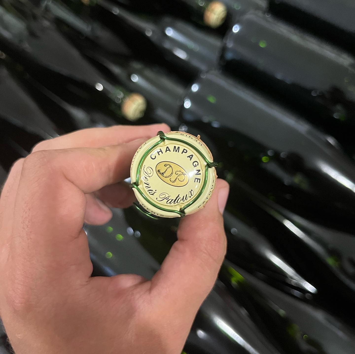 Visiting Denis Patoux champagne - Vandieres - La vallée de la marne - champagne season - visiting champagne